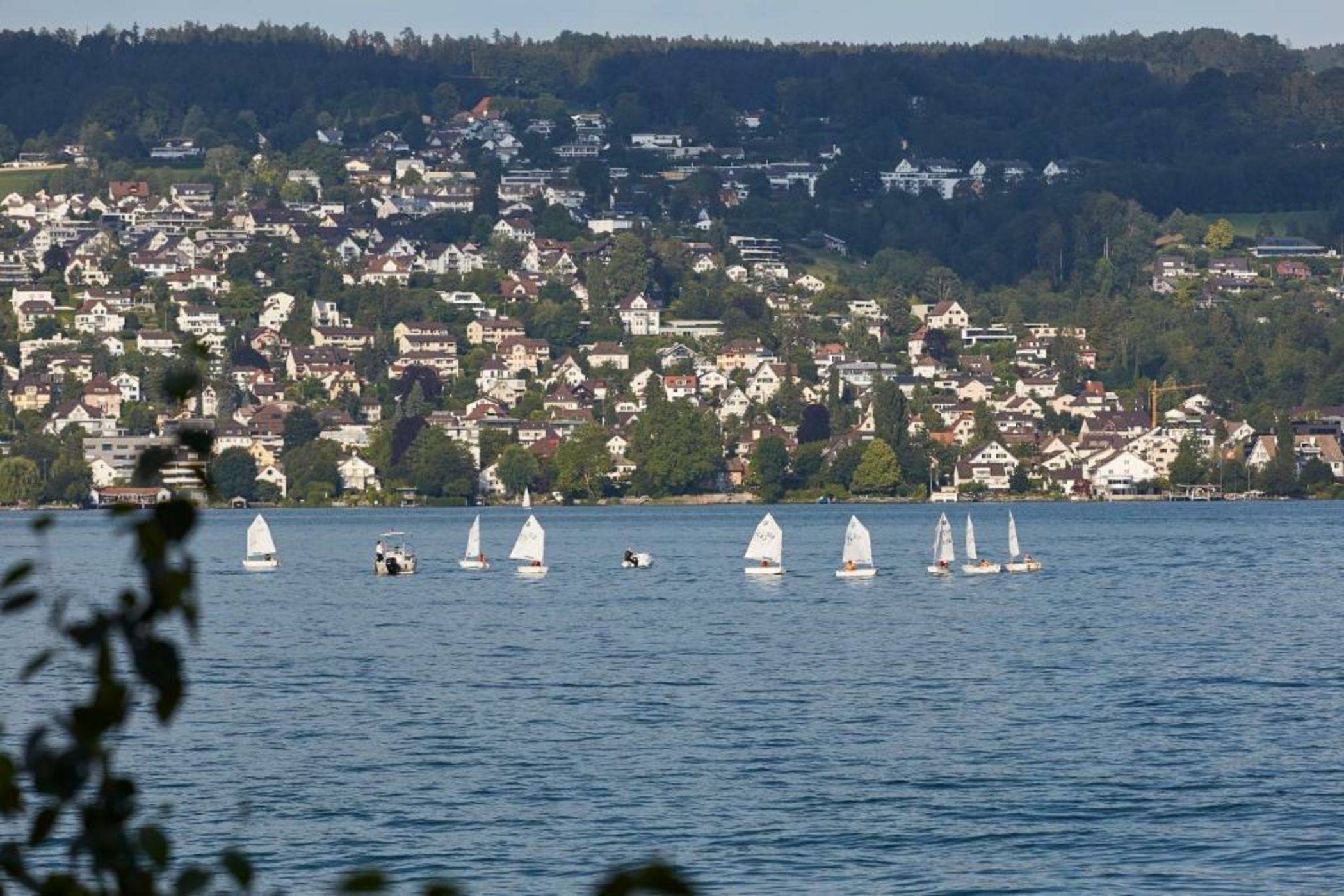 ALEX - Lakefront Lifestyle Hotel & Suites