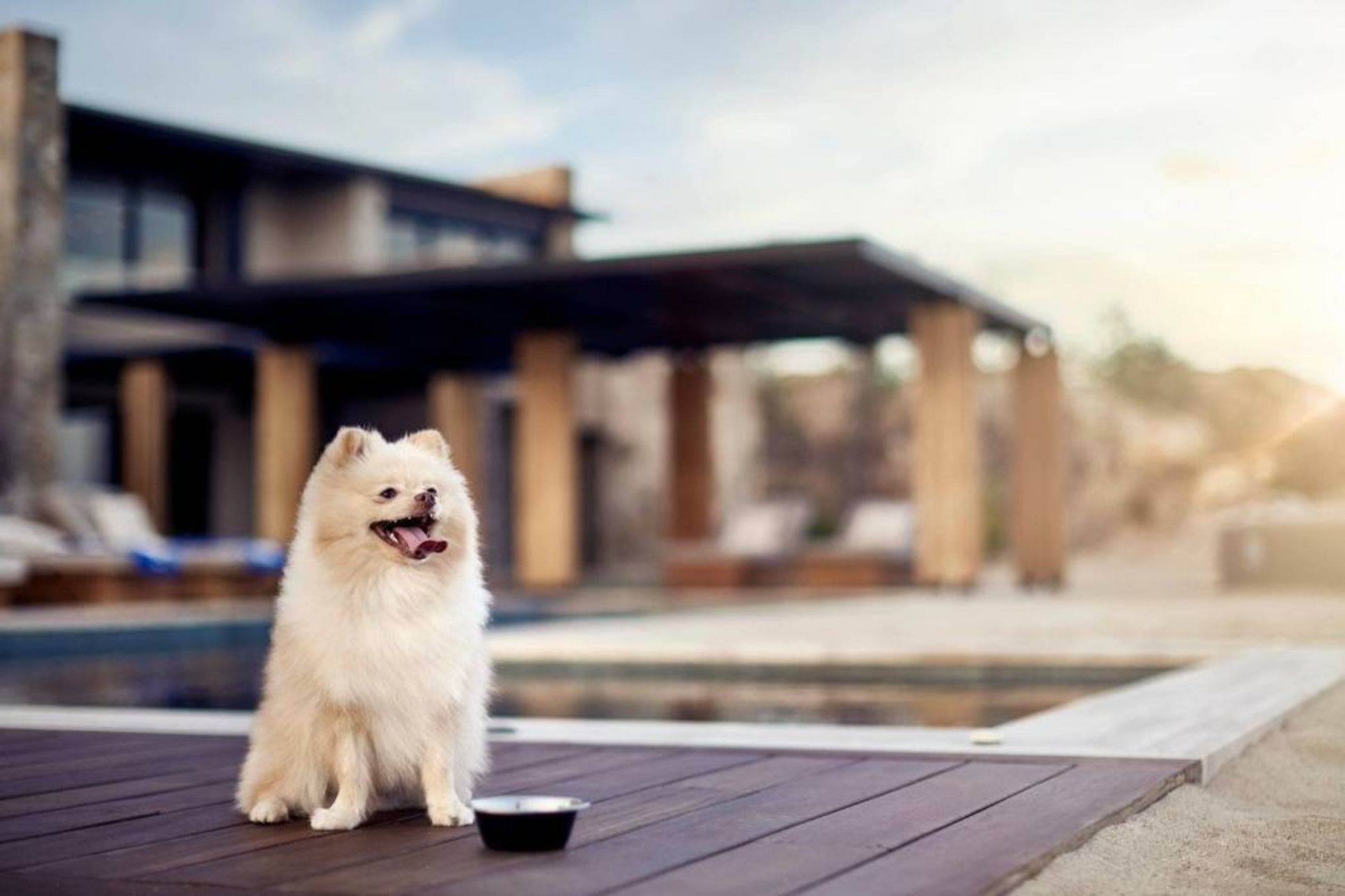 Zadun, A Ritz-Carlton Reserve