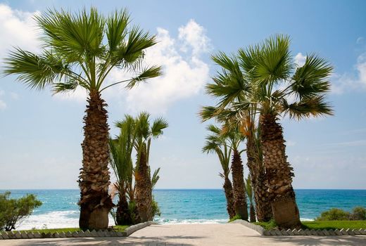 Louis Paphos Breeze