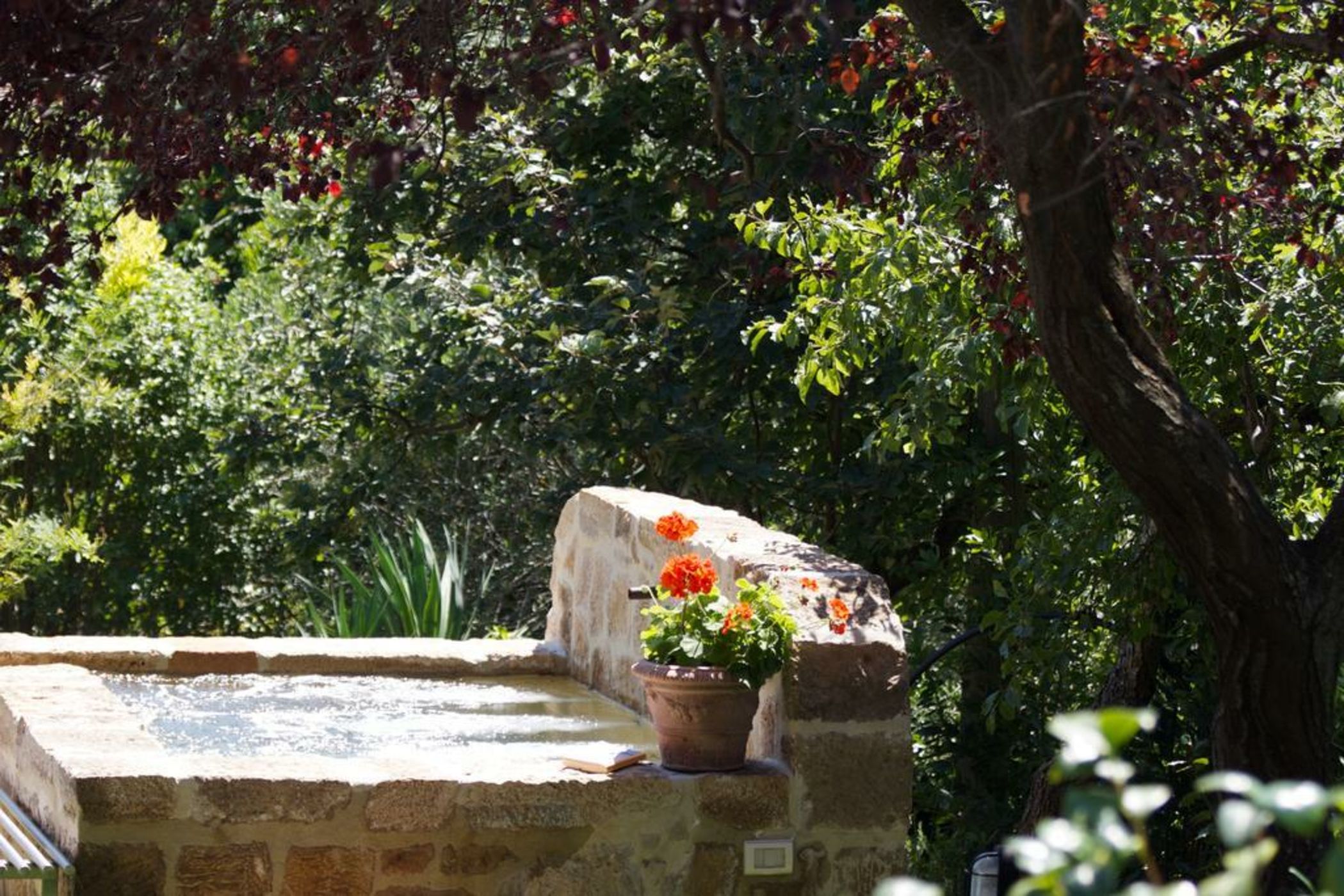 B&B Daria Monticchiello