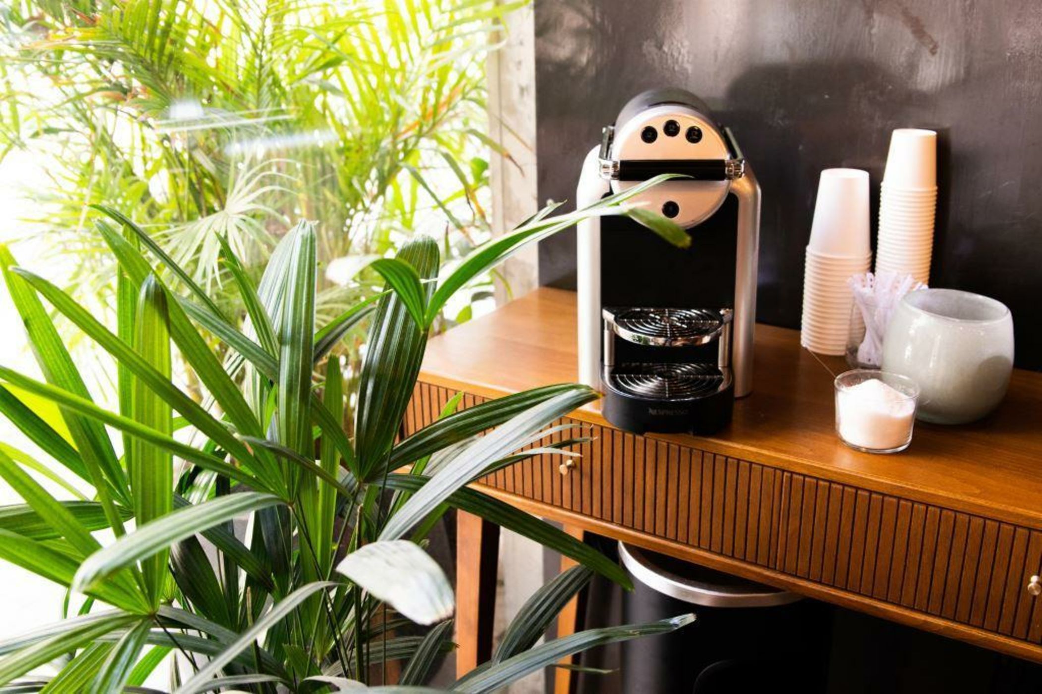 Dave Levinsky - Son of a Brown