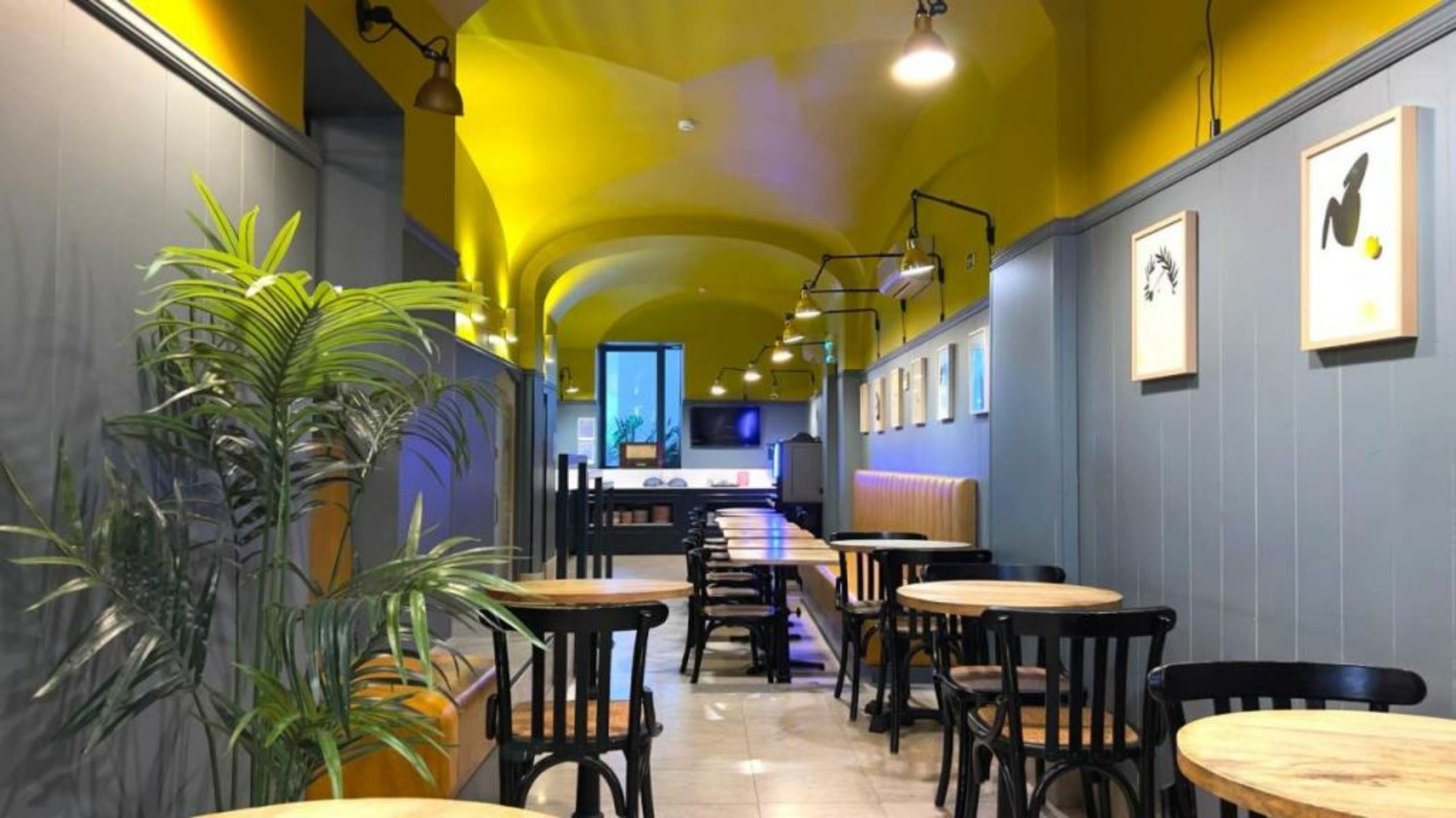 Quinta Colina by Shiadu