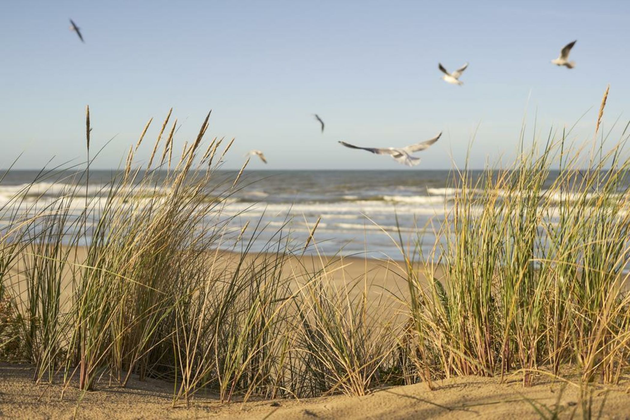 Novotel Thalassa Le Touquet