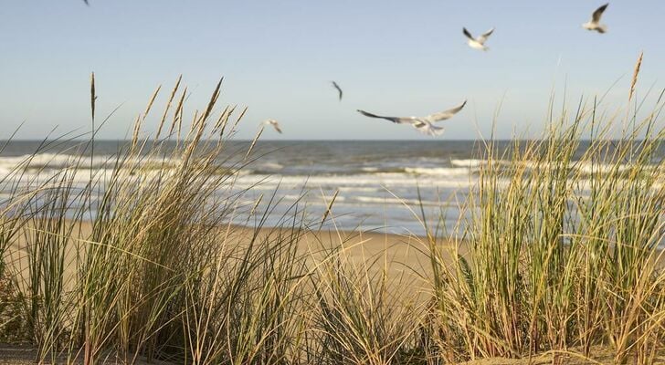 Novotel Thalassa Le Touquet