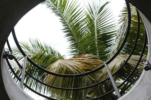 KAJU GREEN eco lodges