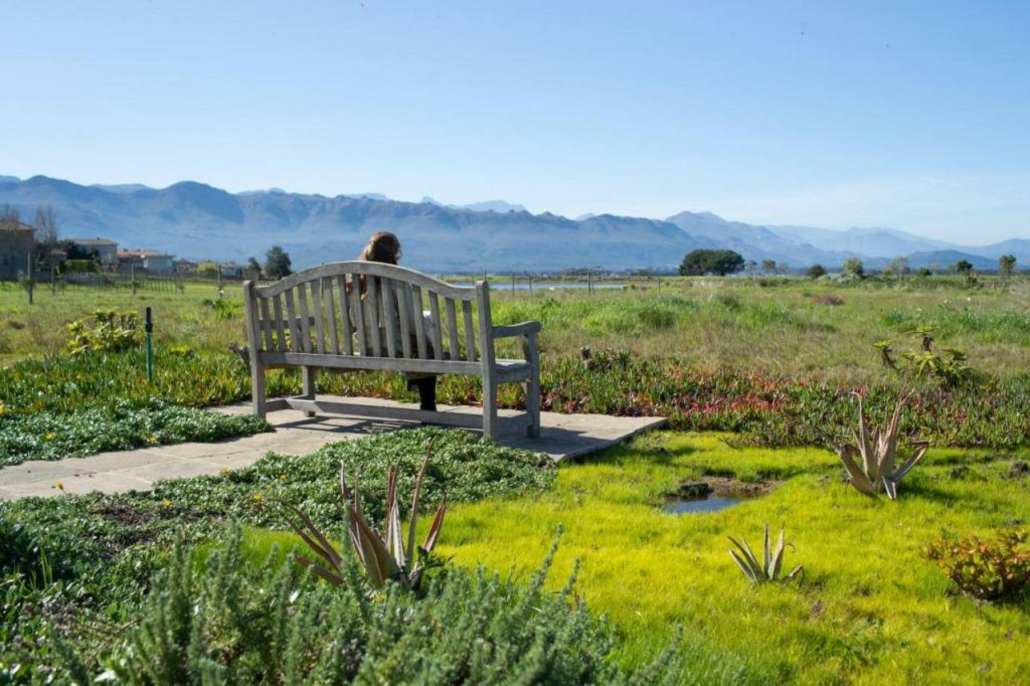 Sante Wellness Retreat