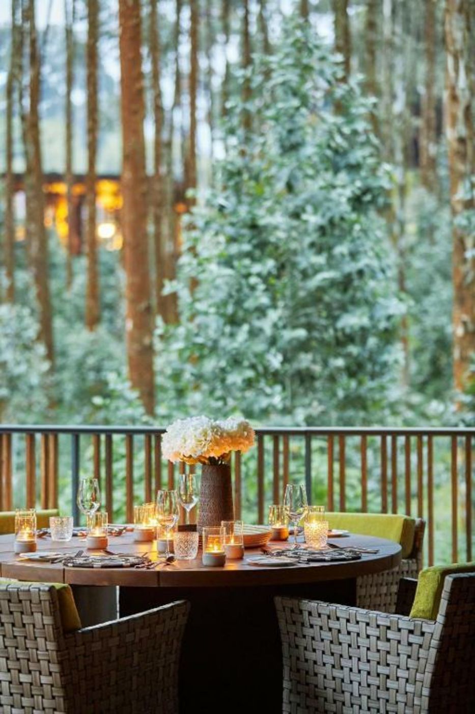 One&Only Gorilla's Nest