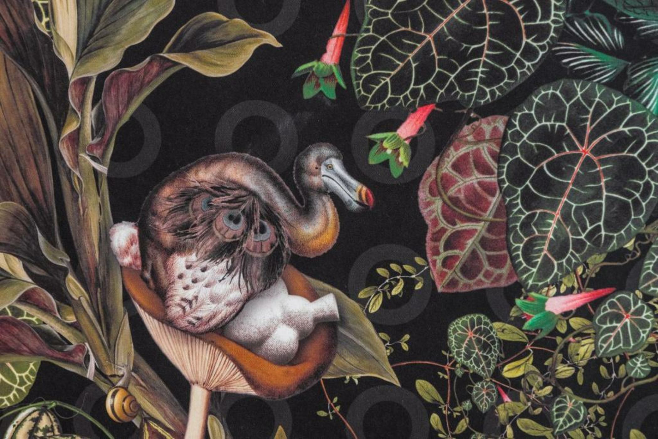 Le Dortoir Boutique Suites