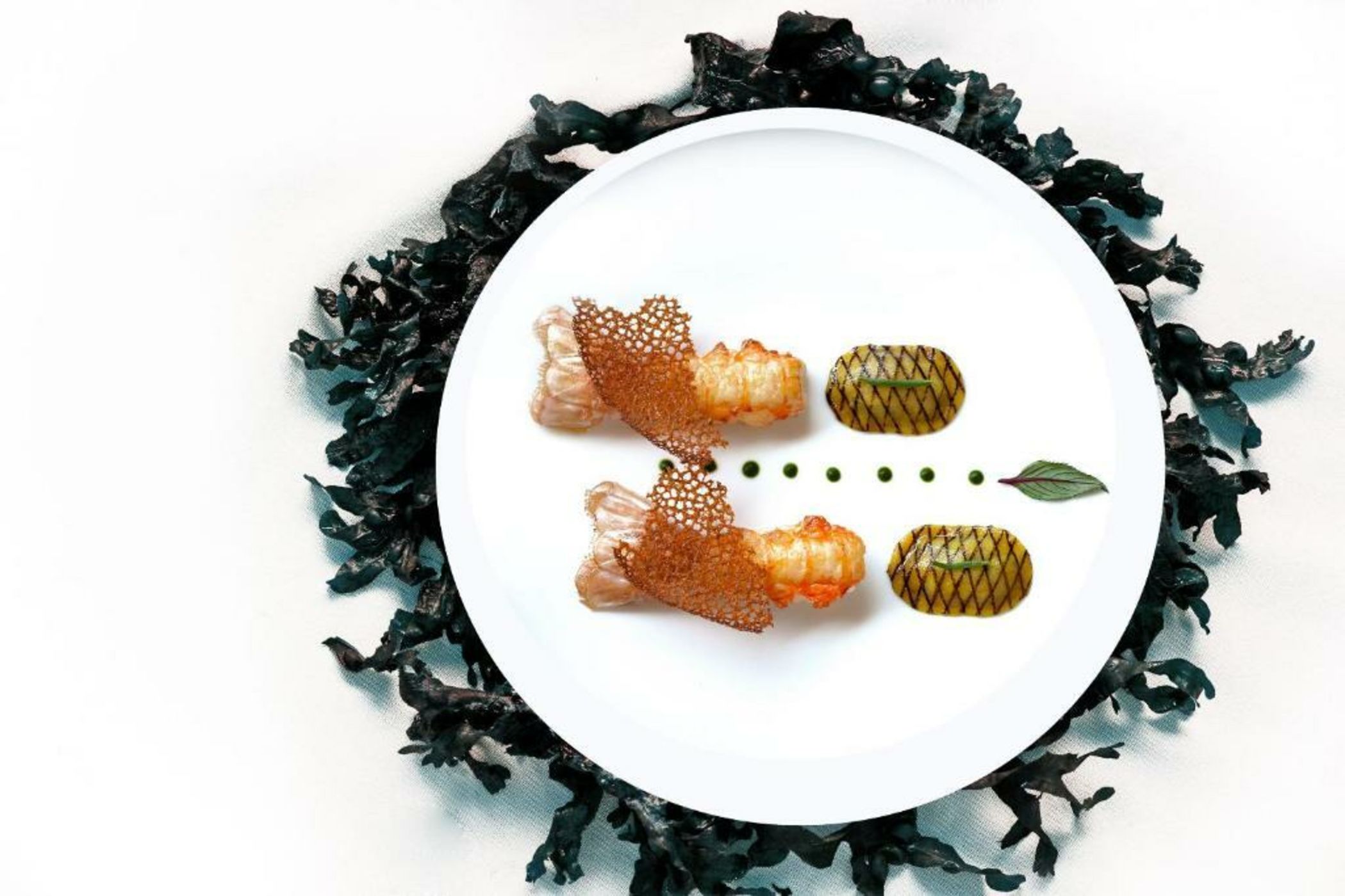 MAISON RONAN KERVARREC - Rennes - Saint-Grégoire