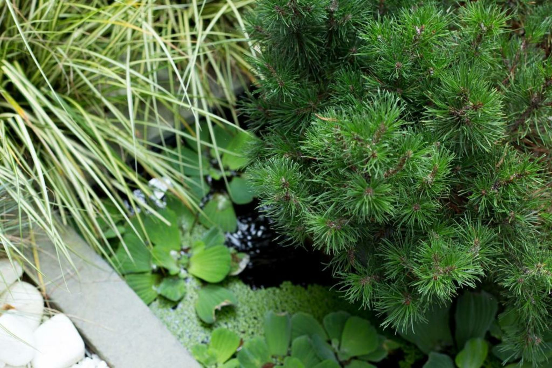 MAISON RONAN KERVARREC - Rennes - Saint-Grégoire