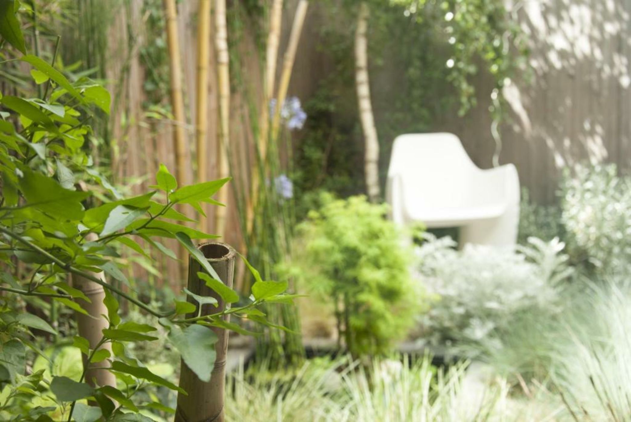 MAISON RONAN KERVARREC - Rennes - Saint-Grégoire