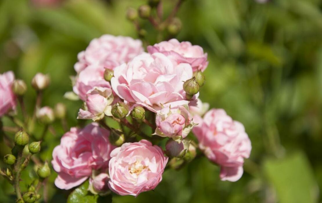MAISON RONAN KERVARREC Rennes SaintGrégoire, a Design Boutique Hotel SaintGrégoire, France
