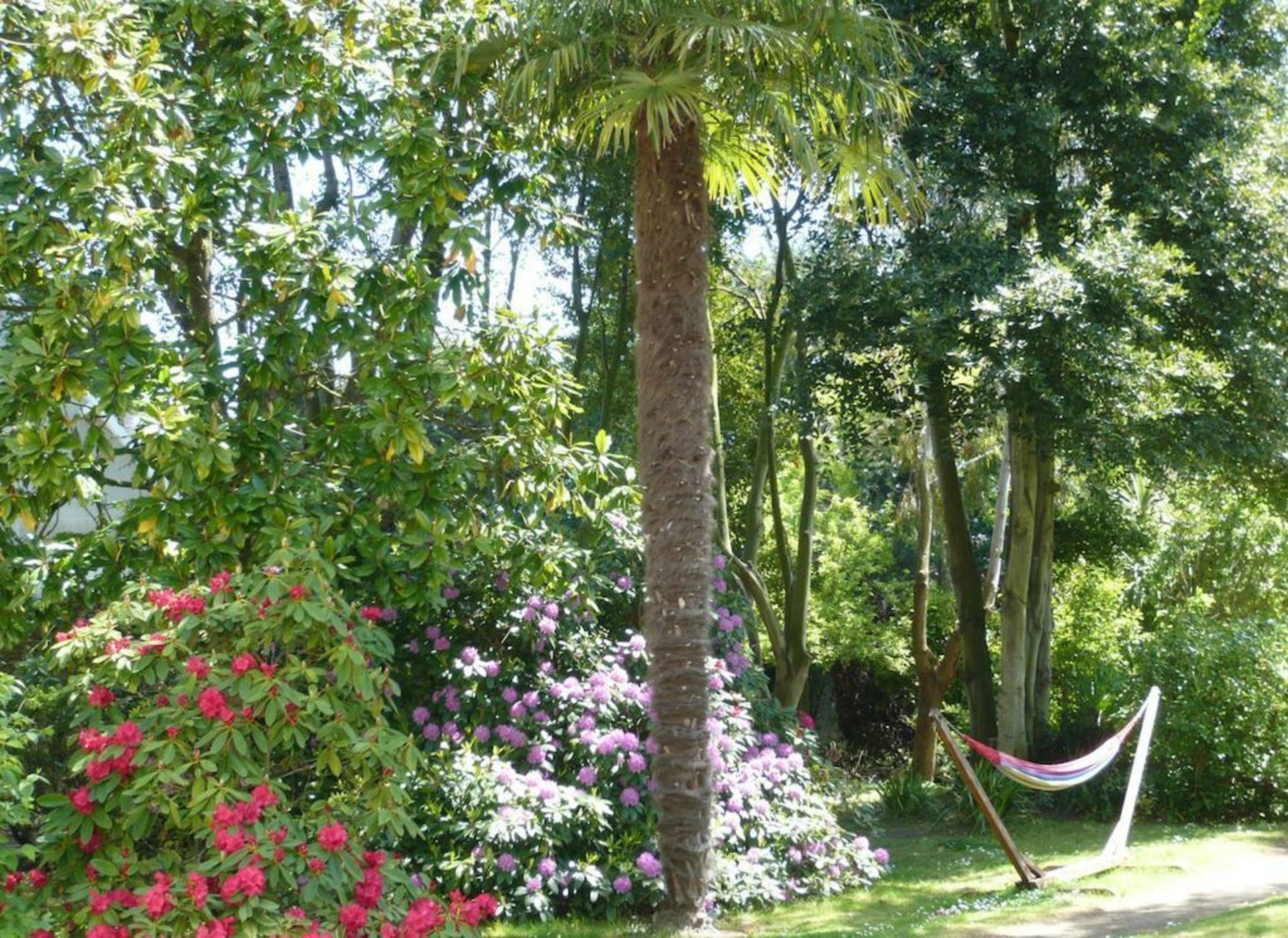 Villa Saint Raphaël