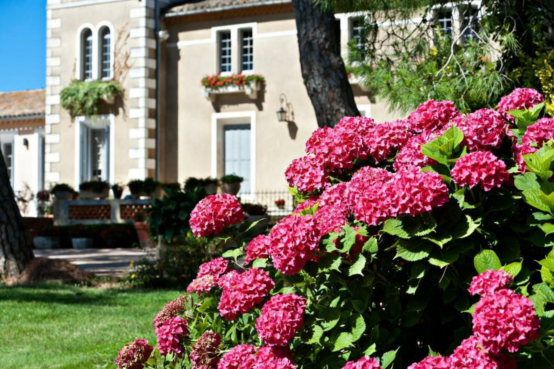 Le Mas de l'Espérance