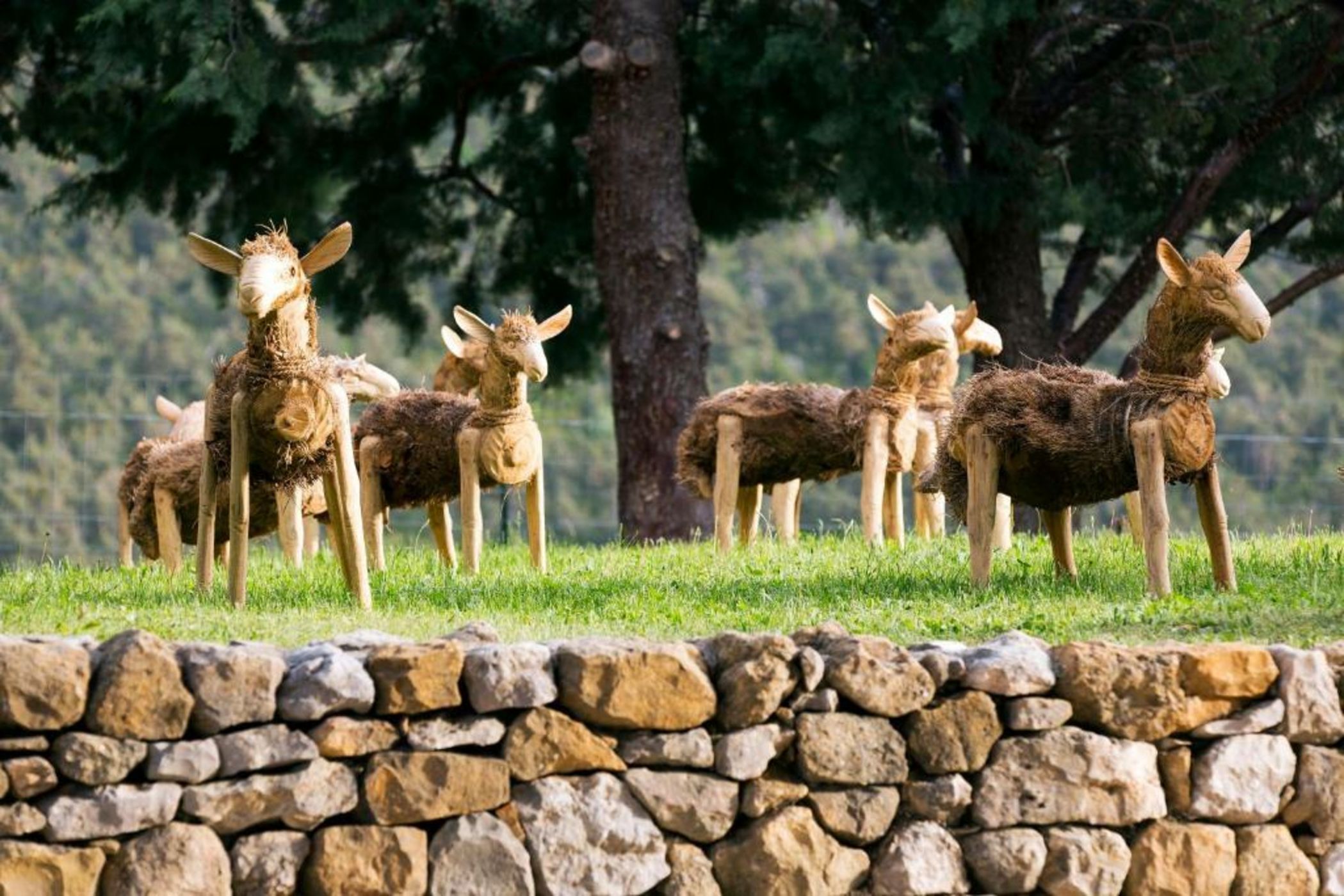 Hotel & Spa des Gorges du Verdon