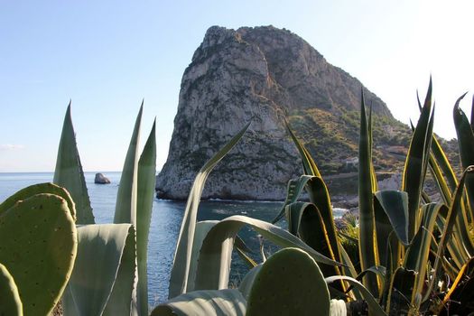 Seaside Villa