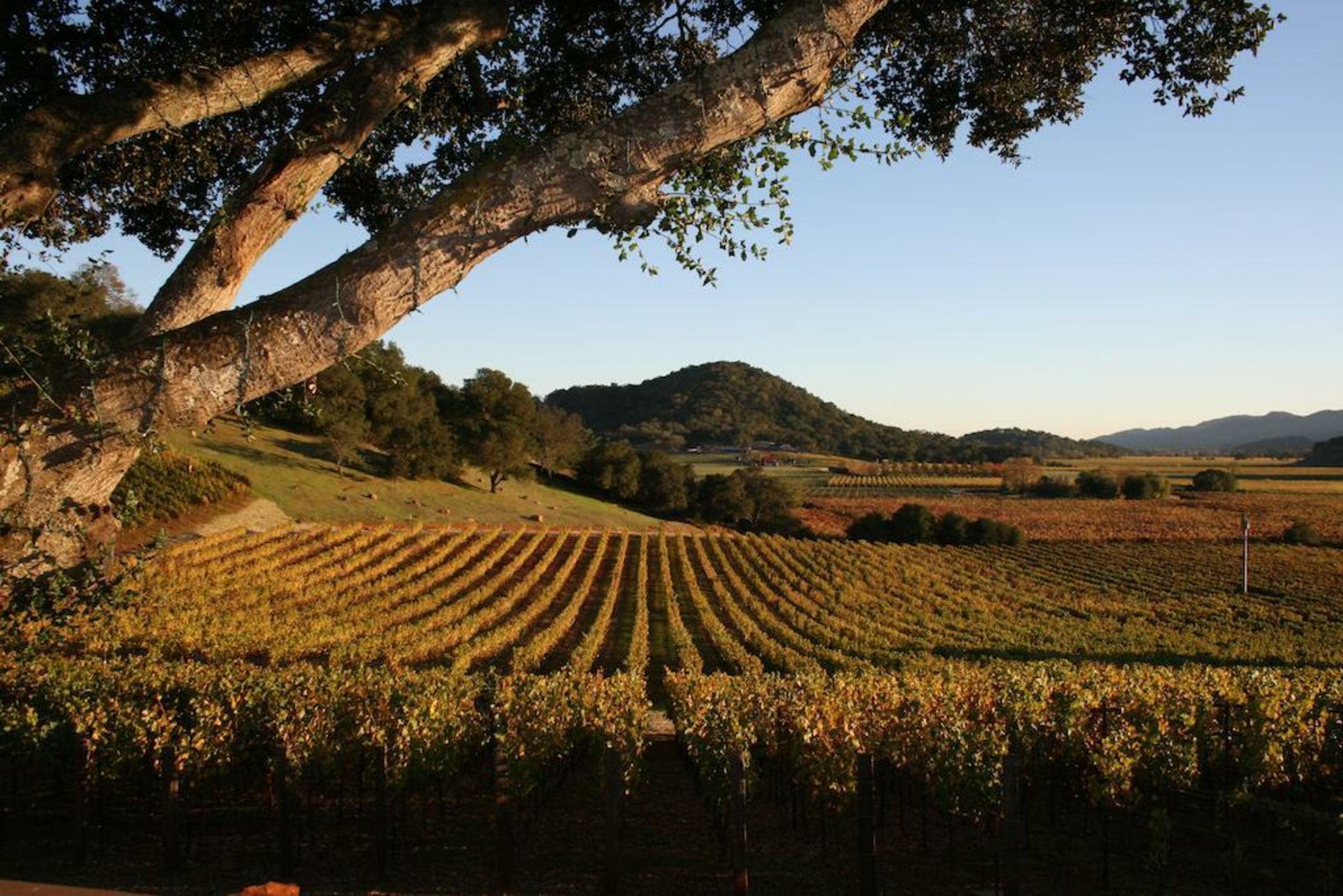 Calistoga Ranch