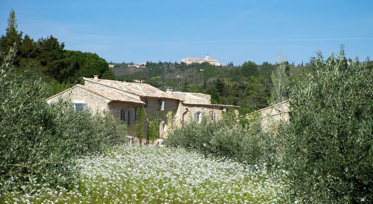 Ferme Oleicole Les Callis