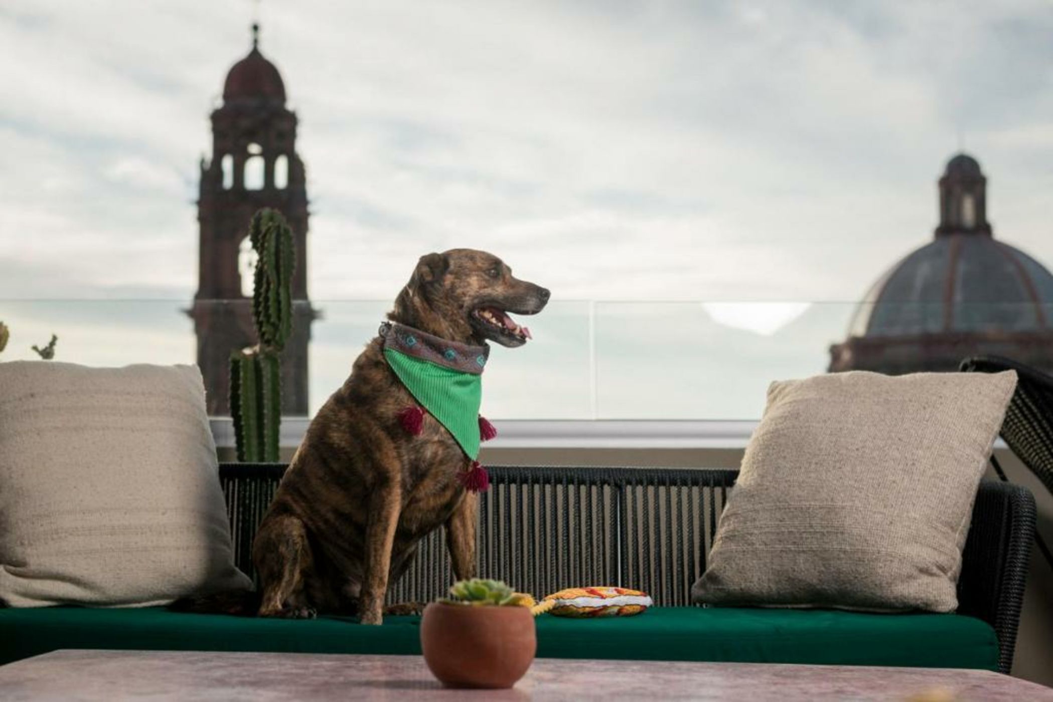 Casa Hoyos - Hotel Boutique