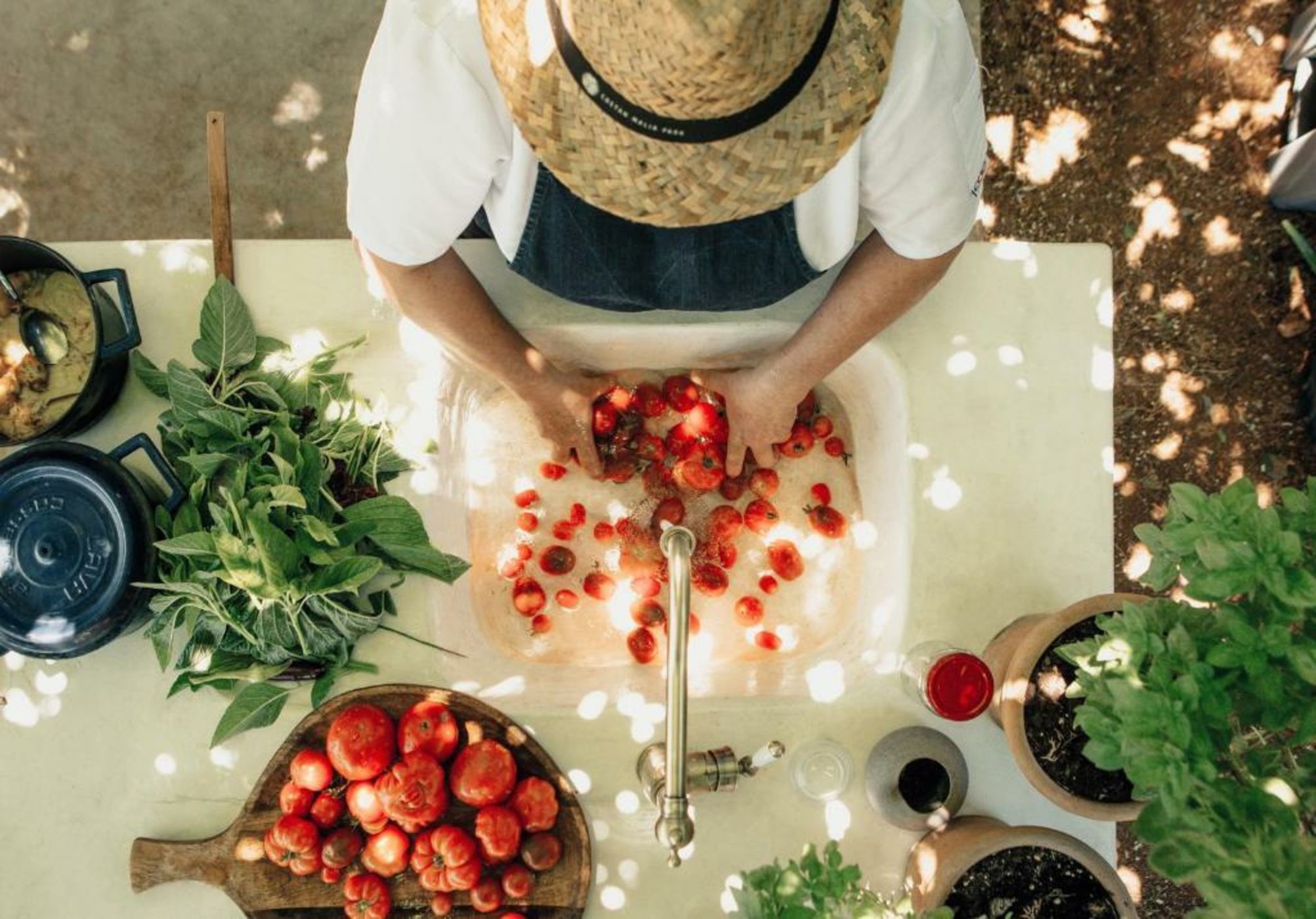 Cretan Malia Park a Member of Design Hotels