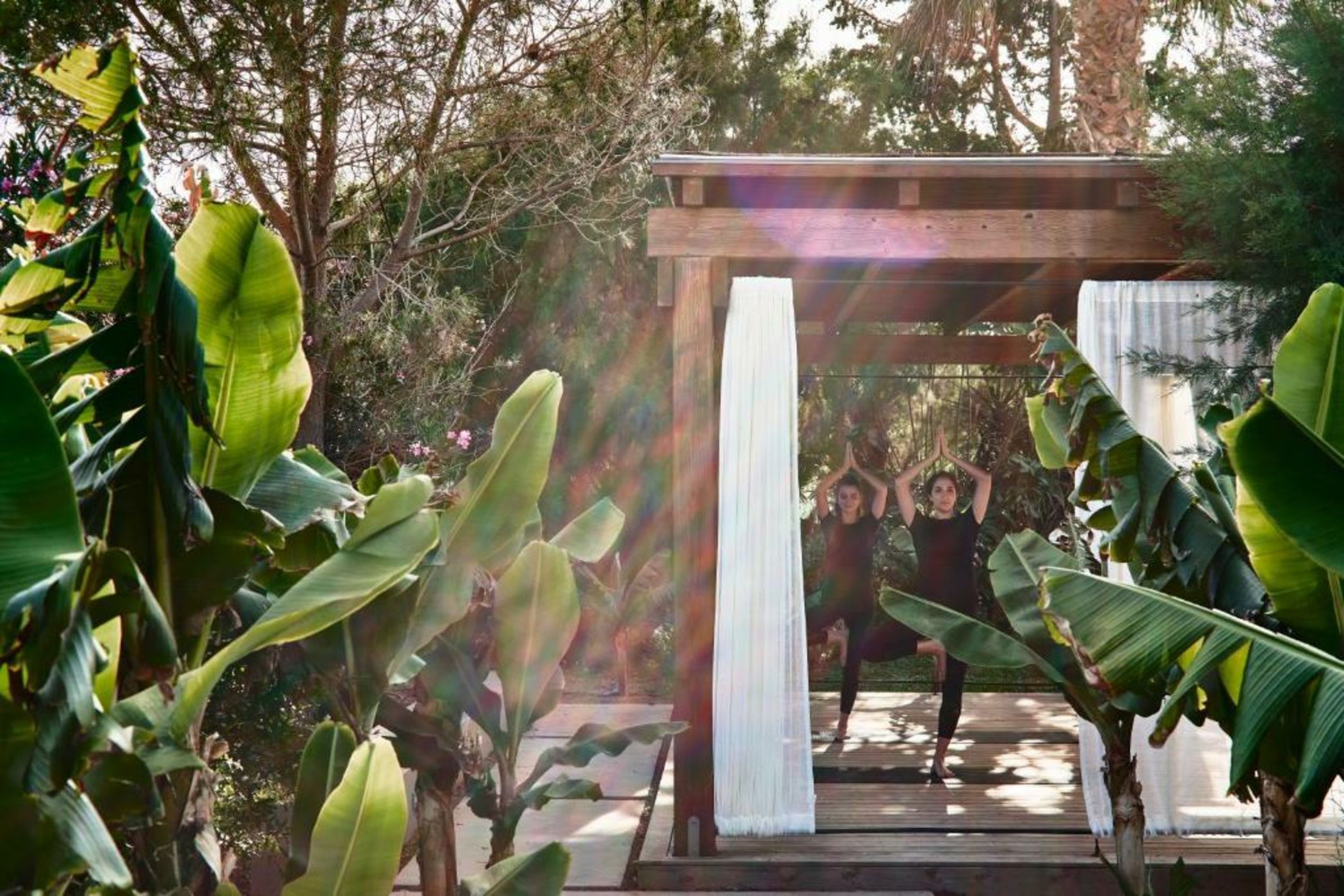 Cretan Malia Park a Member of Design Hotels