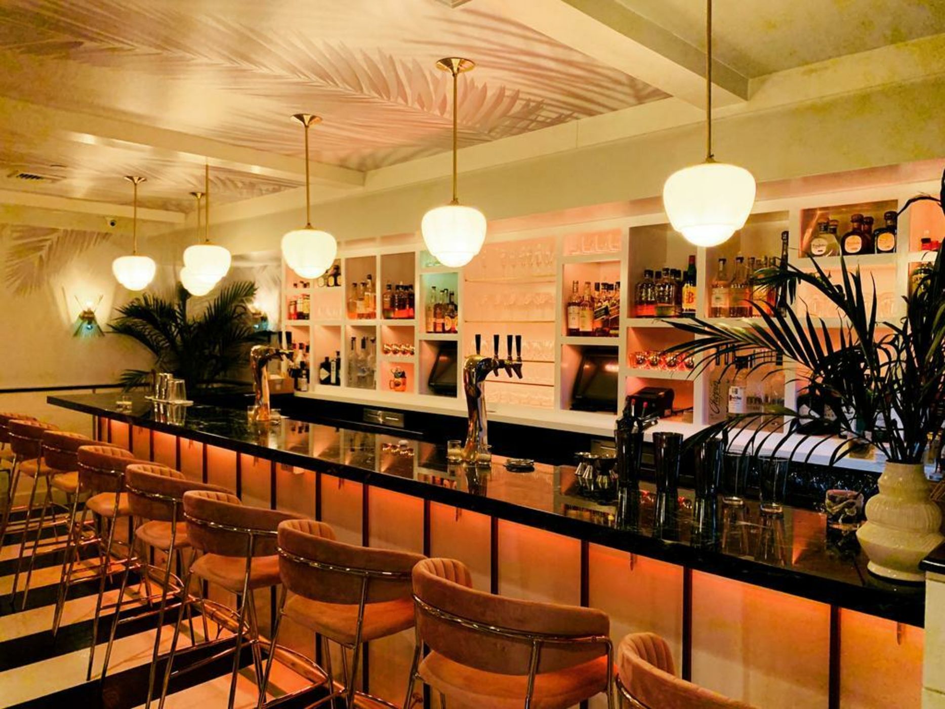 American Beech Hotel