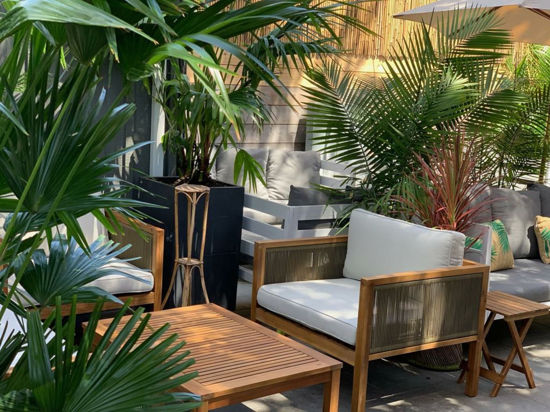 American Beech Hotel