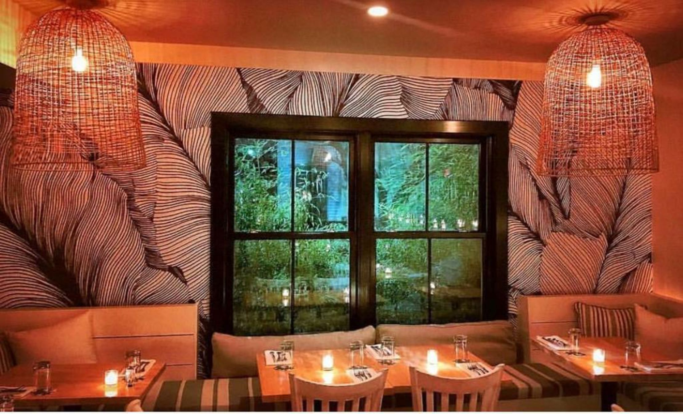 American Beech Hotel