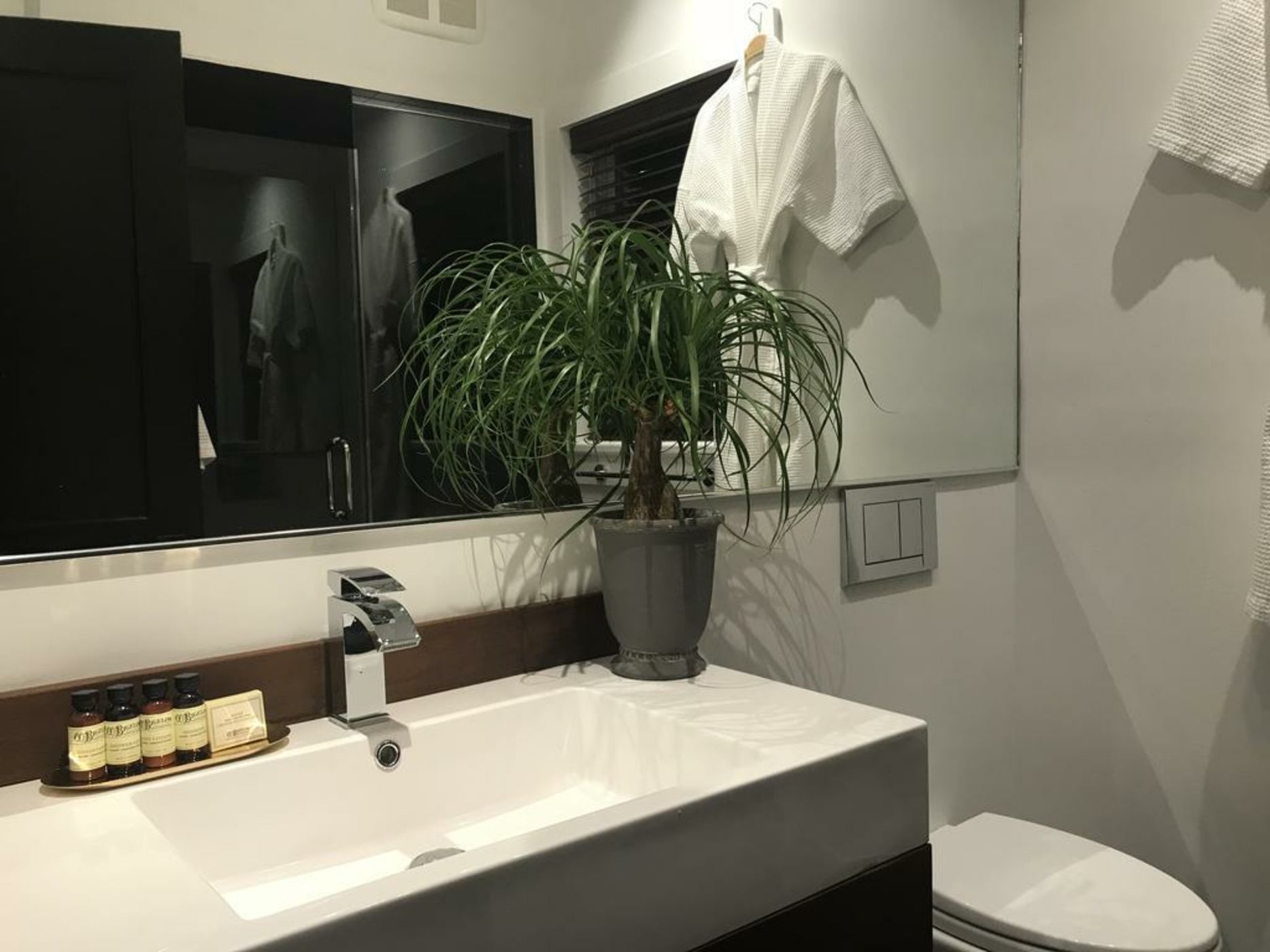 American Beech Hotel