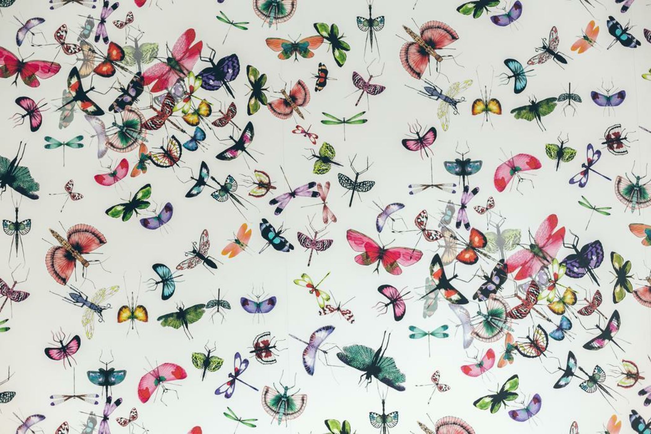 Villa de l'Etang Blanc