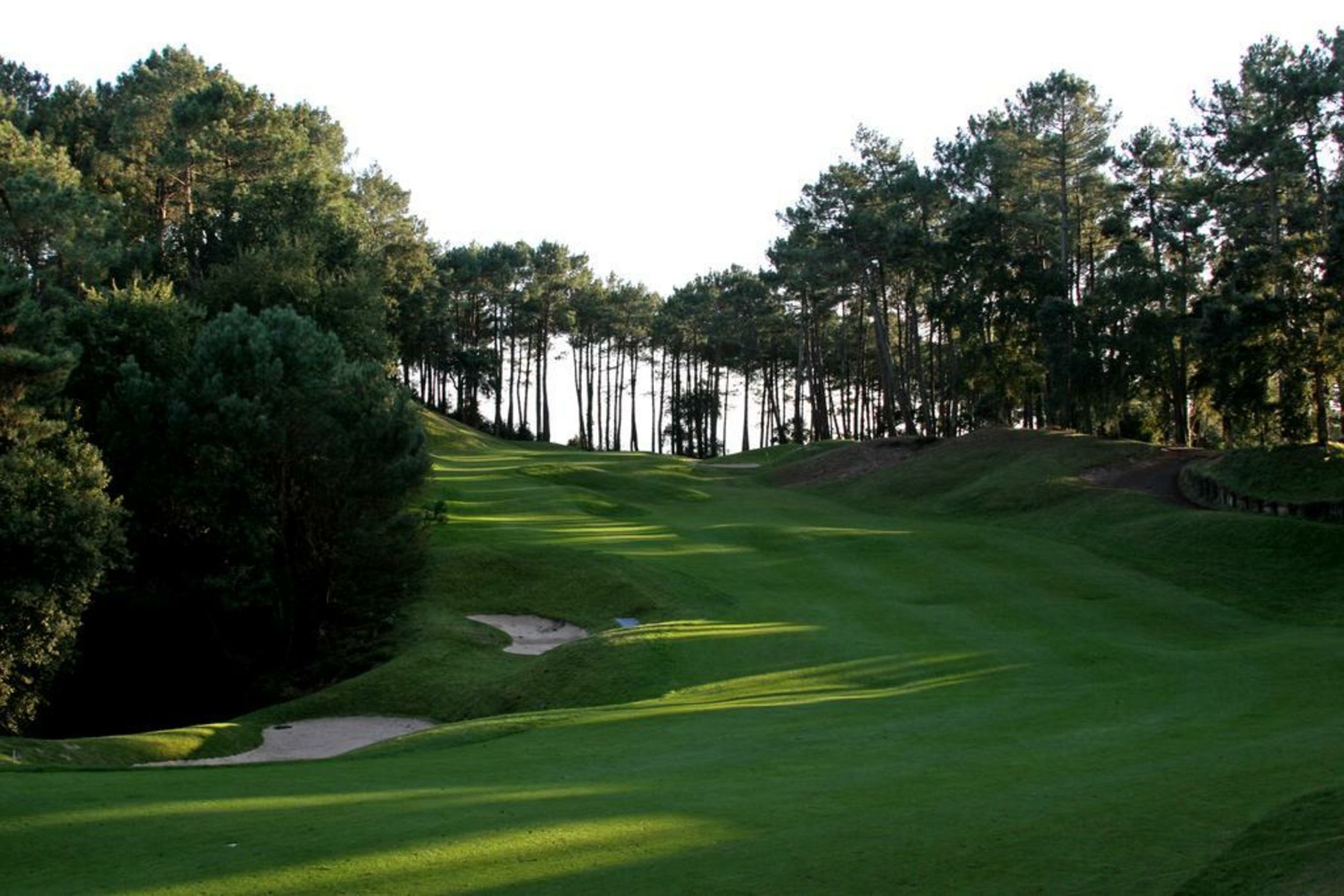 Villa de l'Etang Blanc