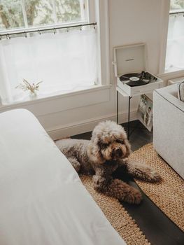 No 15 by GuestHouse, Bath