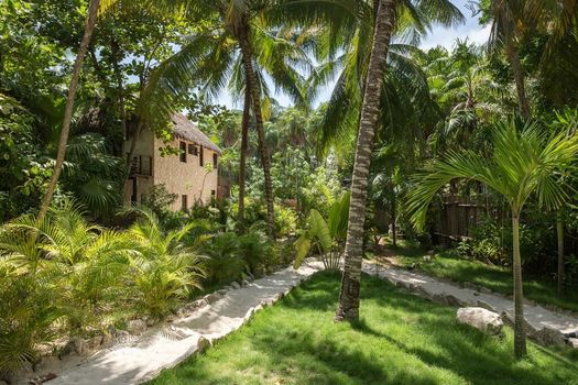 Nest Tulum
