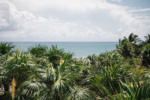 Nest Tulum