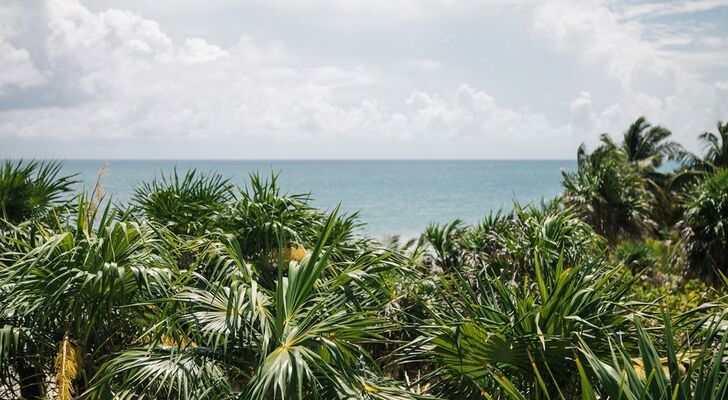 Nest Tulum