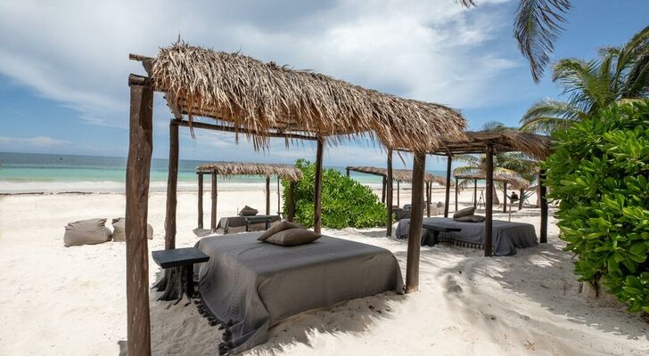 Nest Tulum