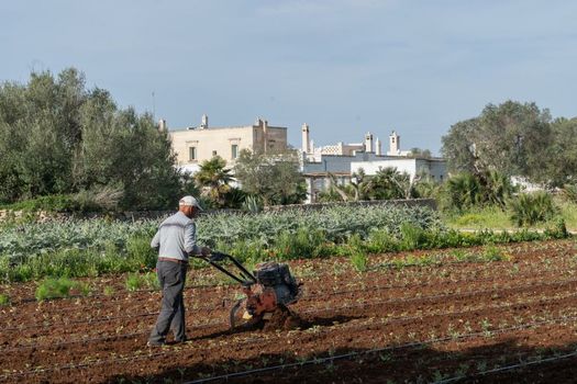 Masseria Palombara Resort & SPA - Adults only