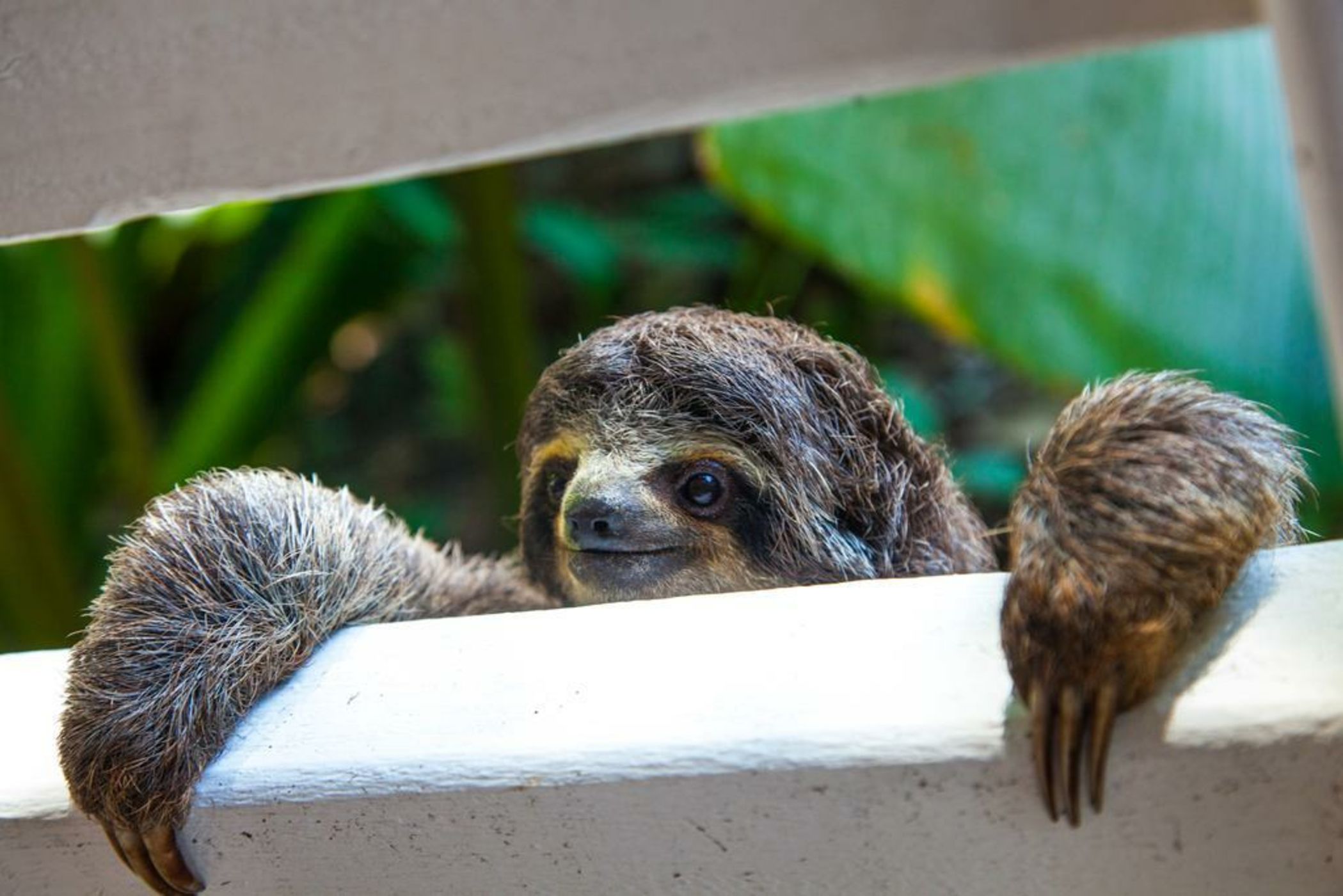 Le Cameleon Boutique Hotel