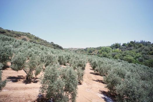 Hacienda Fresneda María by Charming Stay Adults Recommended