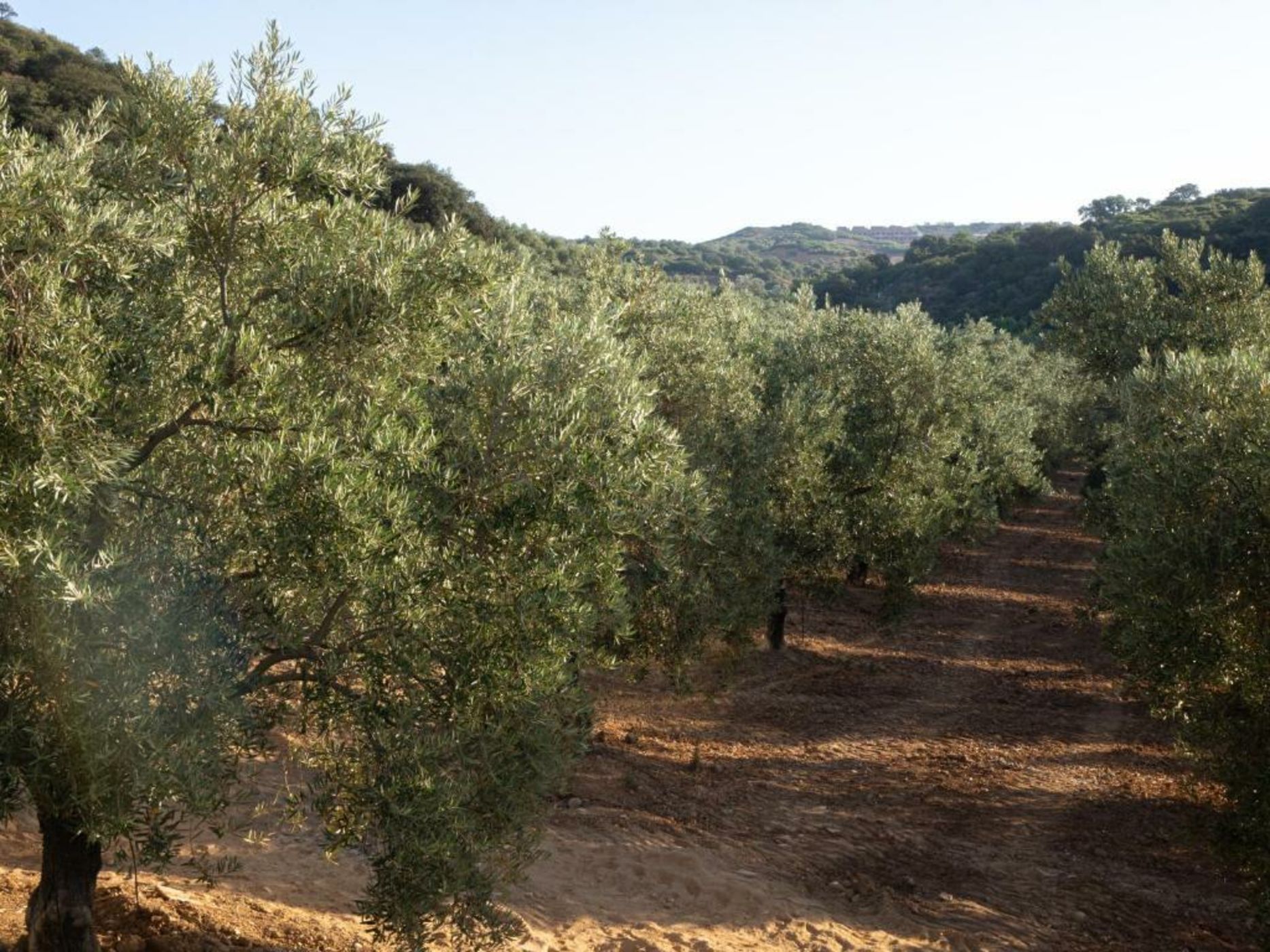 Hacienda Fresneda María by Charming Stay Adults Recommended