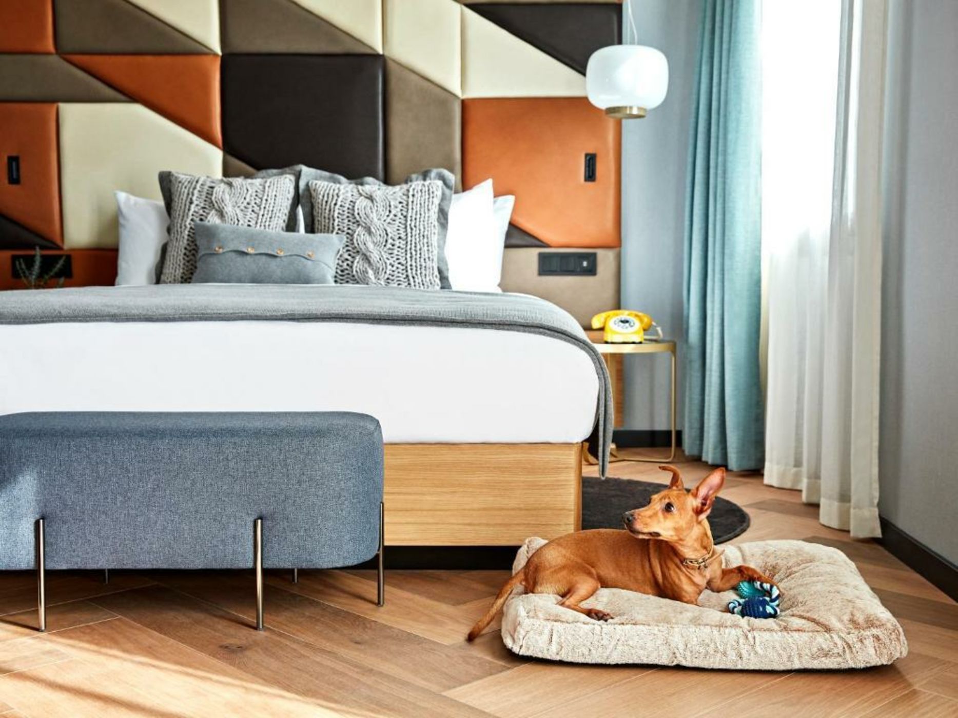 Kimpton Vividora Hotel, an IHG Hotel