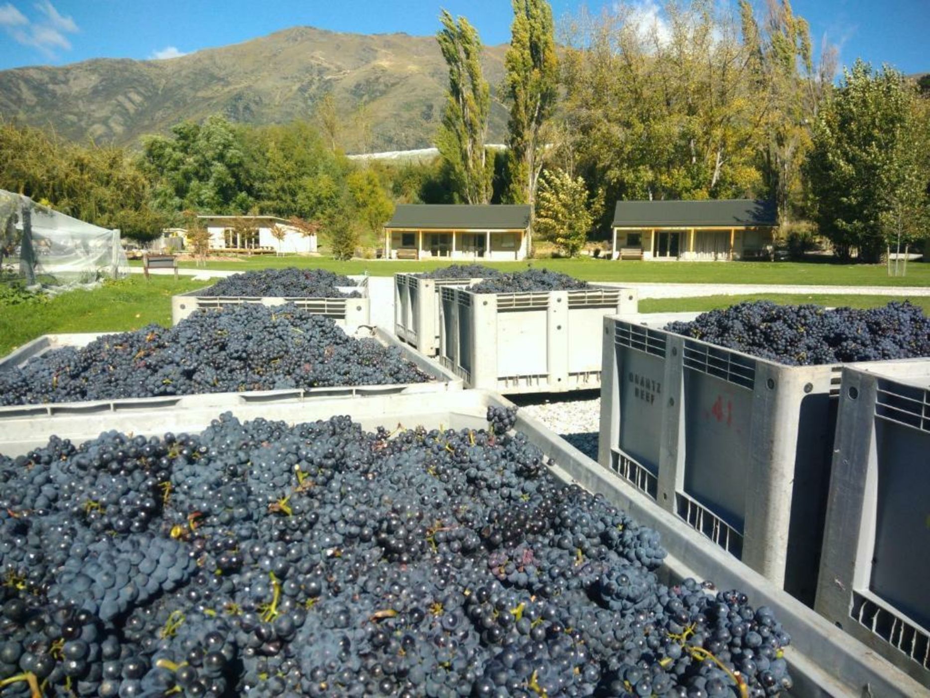 Kinross Boutique Vineyard Hotel