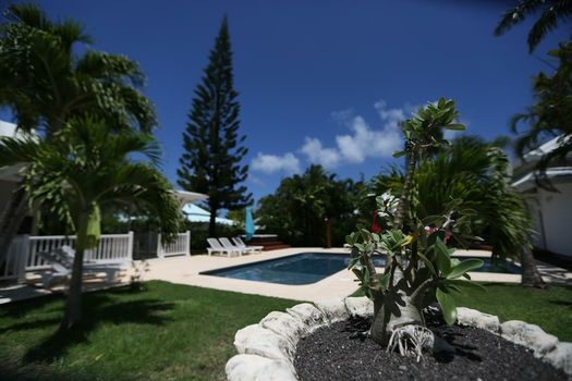 Hotel et villa chez Flo