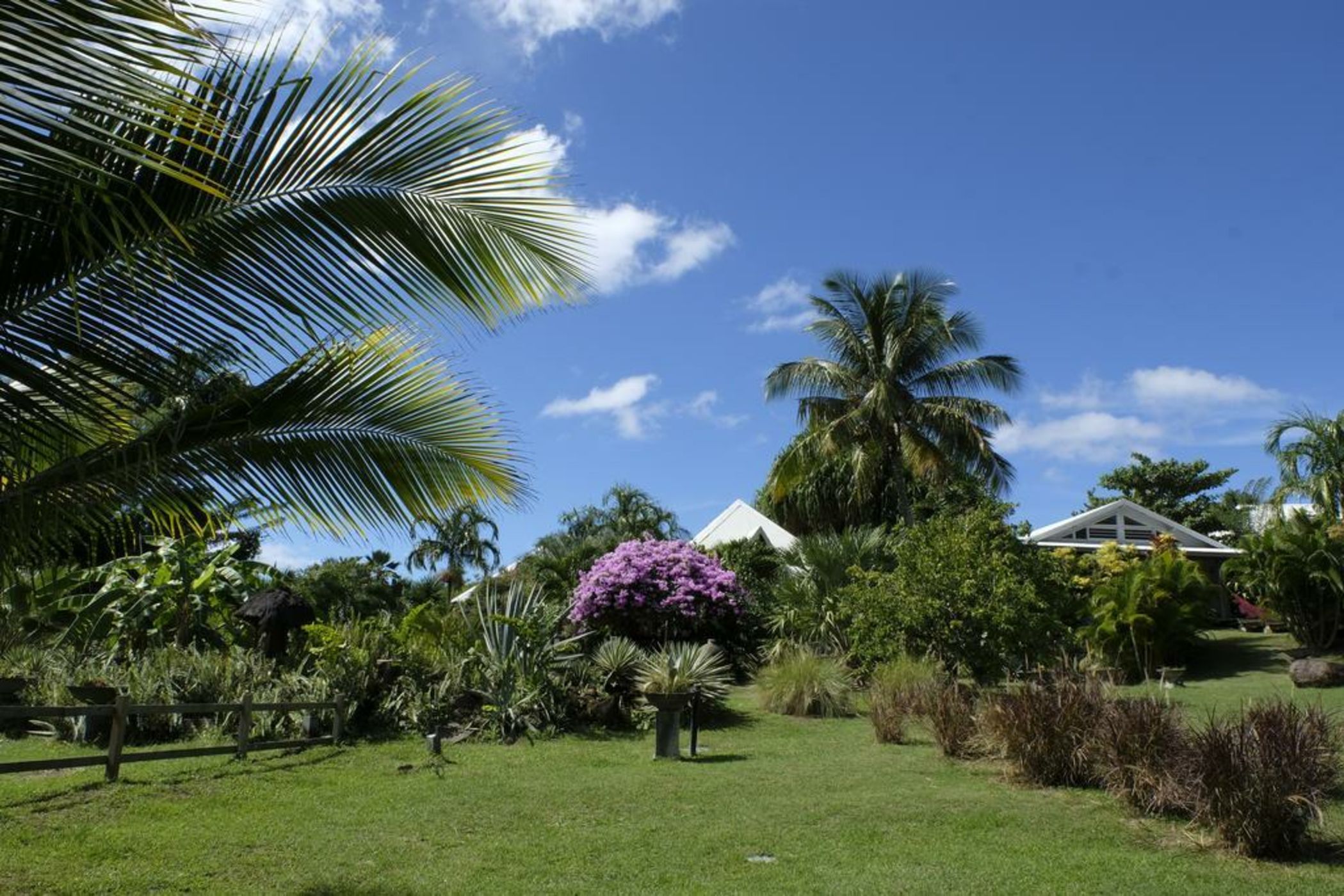 Domaine de la Palmeraie