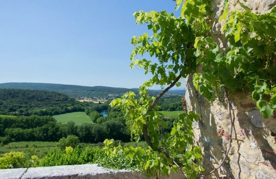 Domaine de Gressac