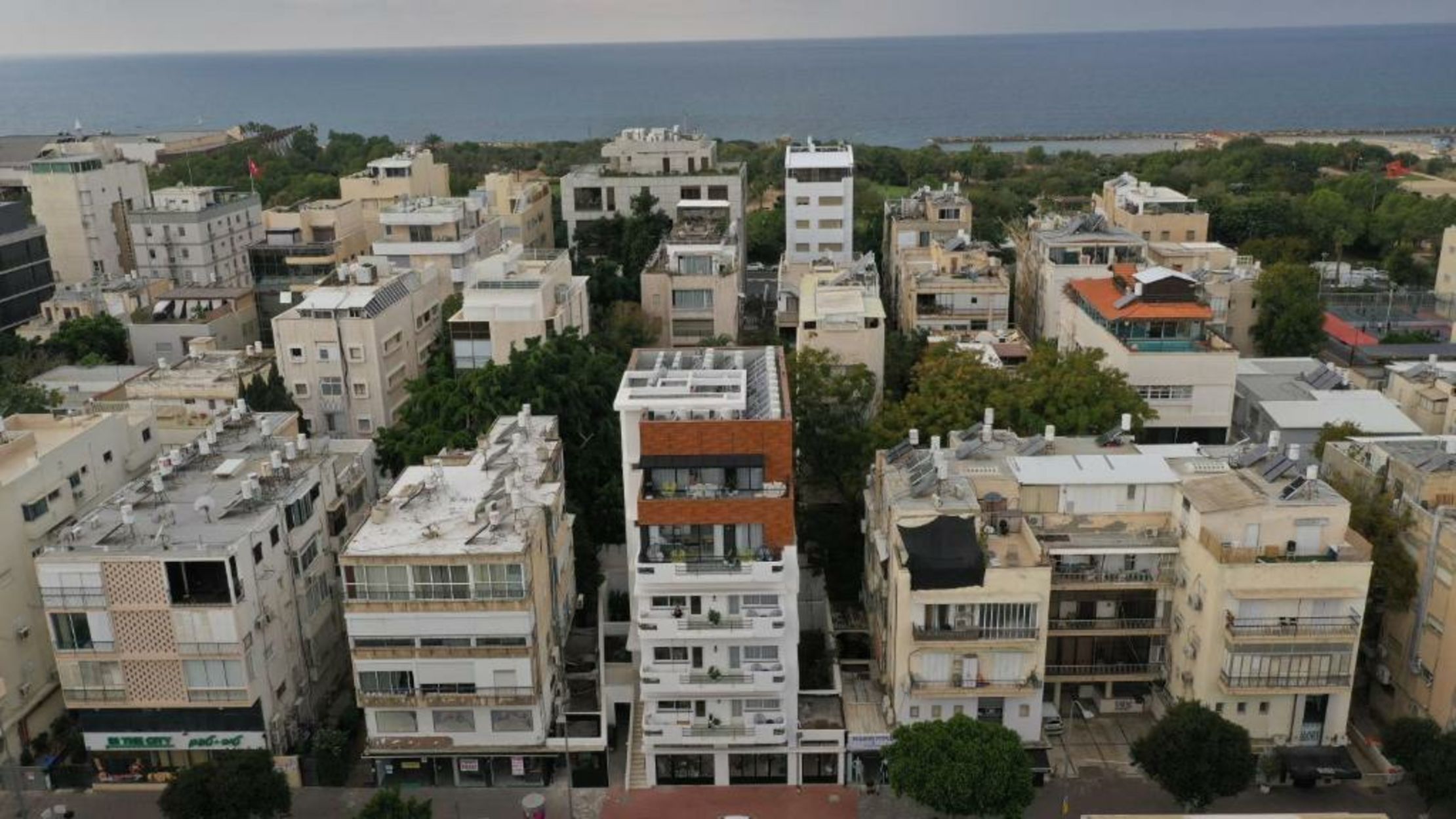 Mr. Ben Yehuda - By TLV2GO