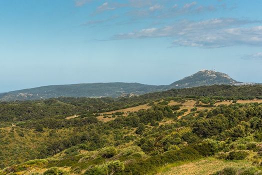 Finca Son Pere