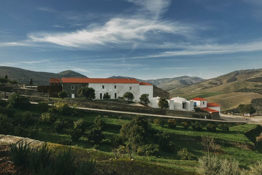 Ventozelo Hotel & Quinta
