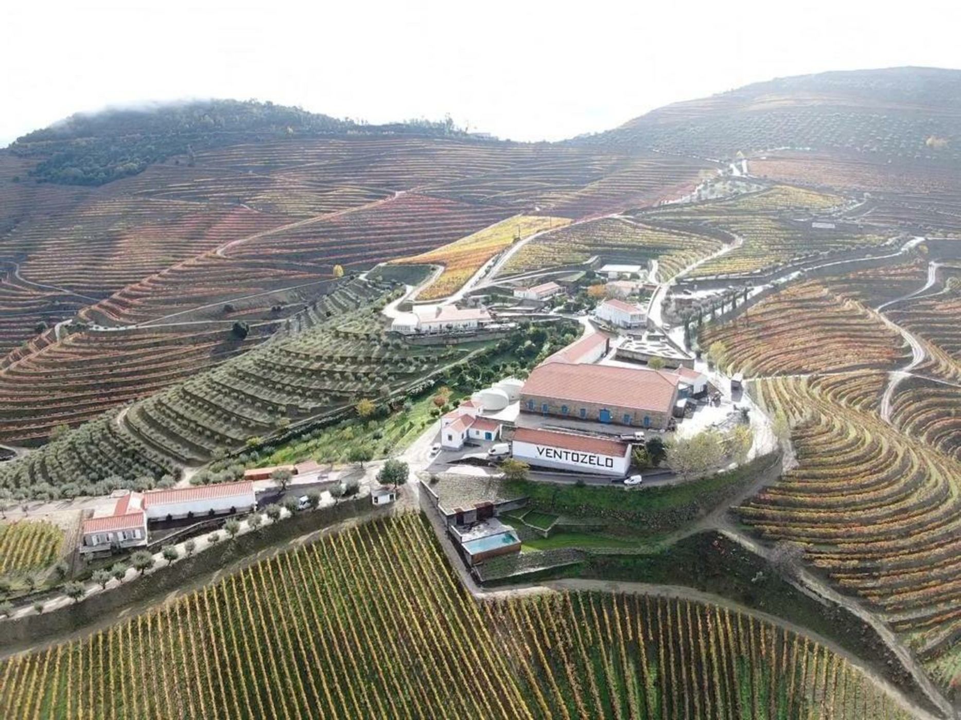 Ventozelo Hotel & Quinta