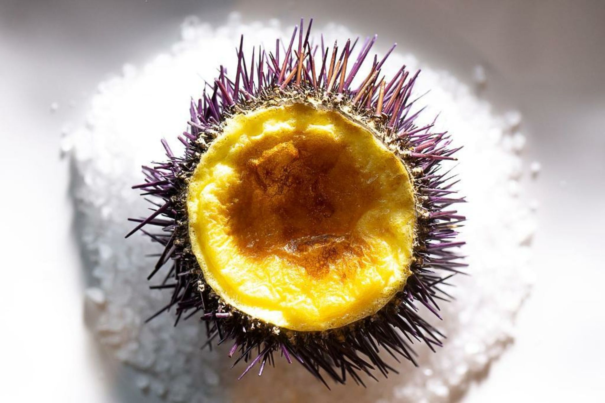 Mas de Torrent Hotel & Spa, Relais & Châteaux